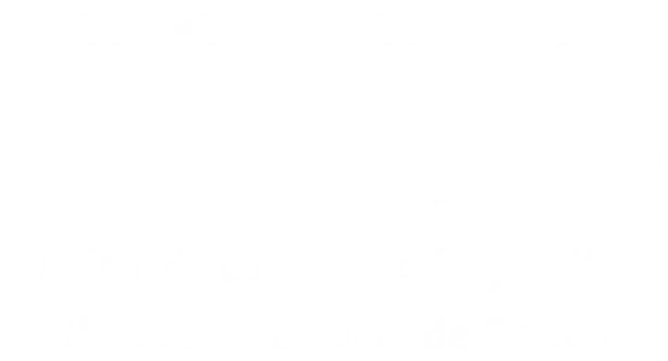 MEC